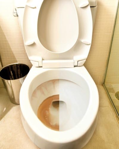 IRON OUT Automatic Toilet Bowl Cleaner 6 Tablets