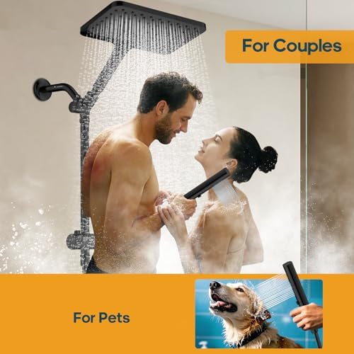Hombeter 10 Inch Handheld Rain Shower Combo Matte Black