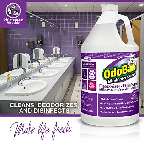OdoBan Professional Disinfectant 2-Pack 1 Gallon Lavender Scent