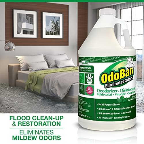 OdoBan Professional Disinfectant 2-Pack 1 Gallon