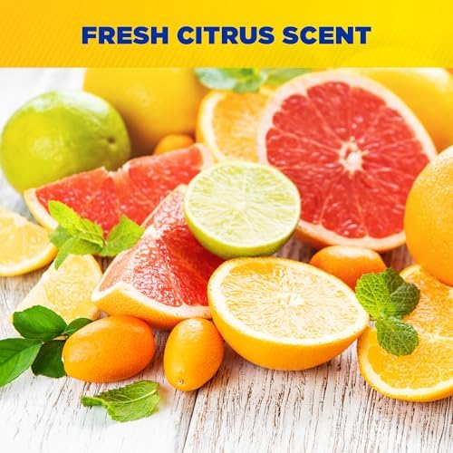 Zep Big Orange Heavy-Duty Citrus Degreaser 15 oz Case Of 12