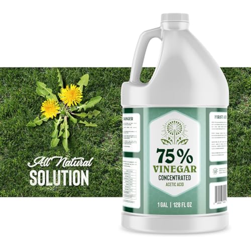 75 Concentrated Vinegar 1 Gallon All Natural Cleaner