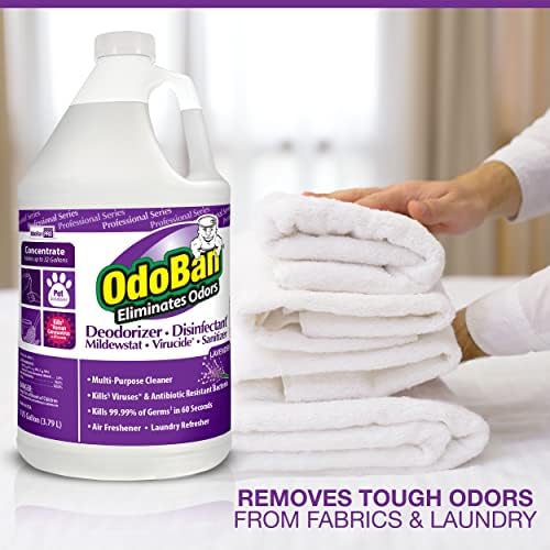 OdoBan Professional Disinfectant 2-Pack 1 Gallon Lavender Scent