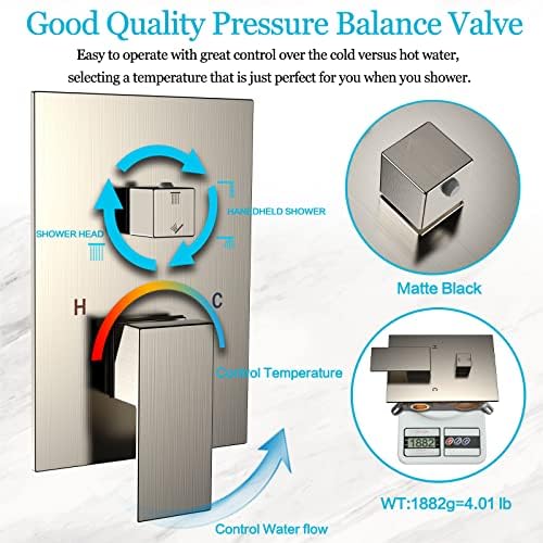 Dlvsoby 10 Inch Rain Shower Wall Mount System with Handheld Spray