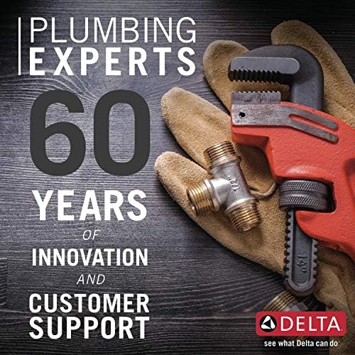 Delta In2ition 2-in-1 Dual Shower Head with Handheld