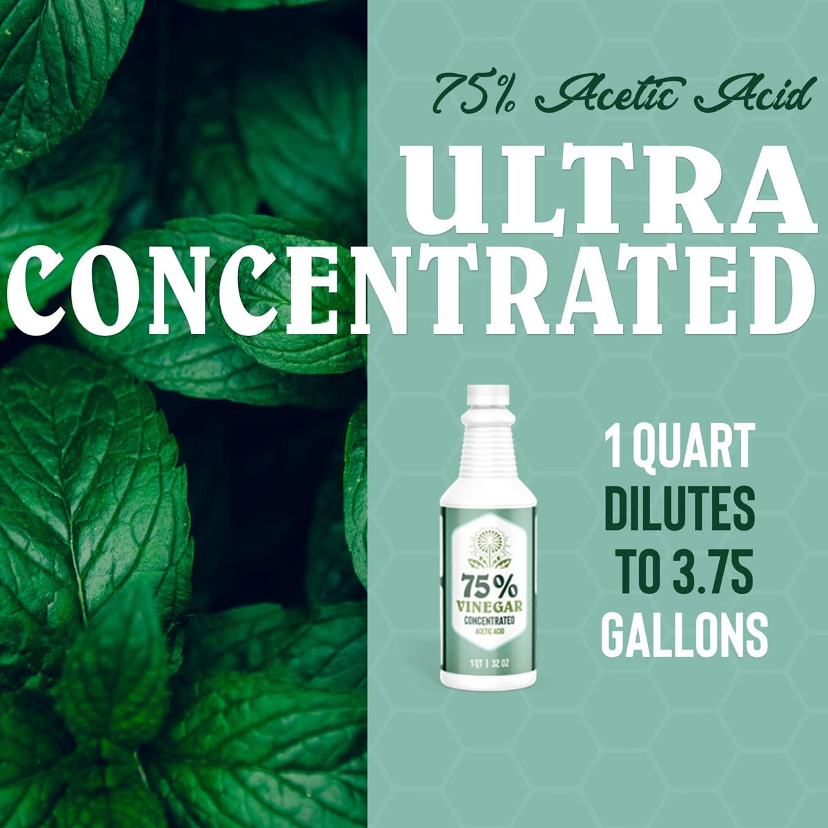 75 Concentrated Vinegar 1 Gallon All Natural Cleaner