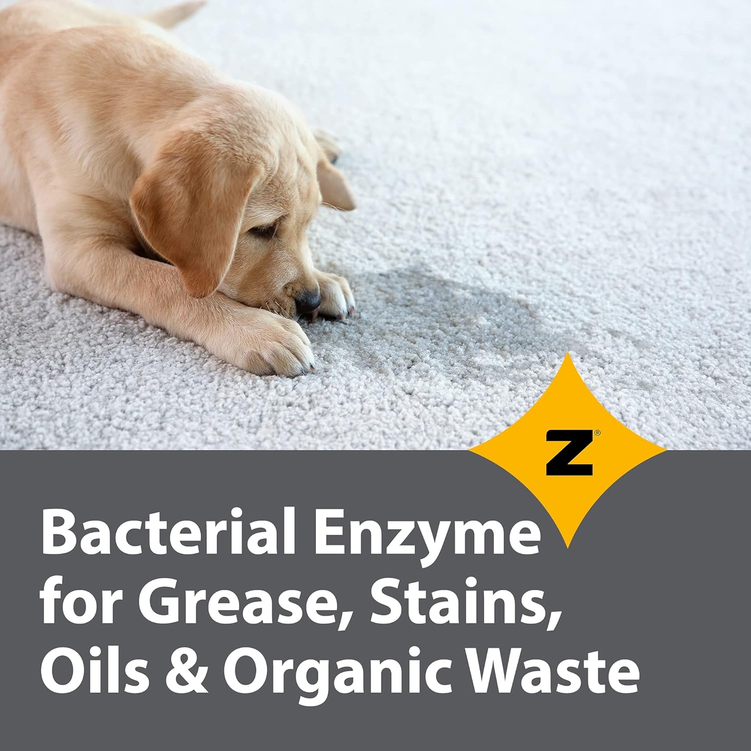Zeiff Pro-Grade Enzyme Cleaner 32 Ounce - Multi-Purpose Pet Drain Stain Remover