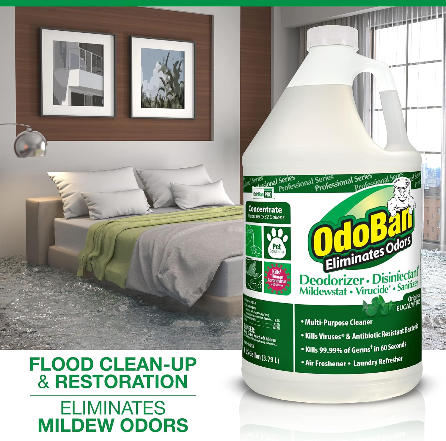 OdoBan Professional Disinfectant 2-Pack 1 Gallon